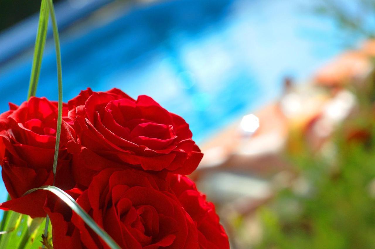Casa Bela Moura, Boutique Hotel & Wine Porches  Ngoại thất bức ảnh